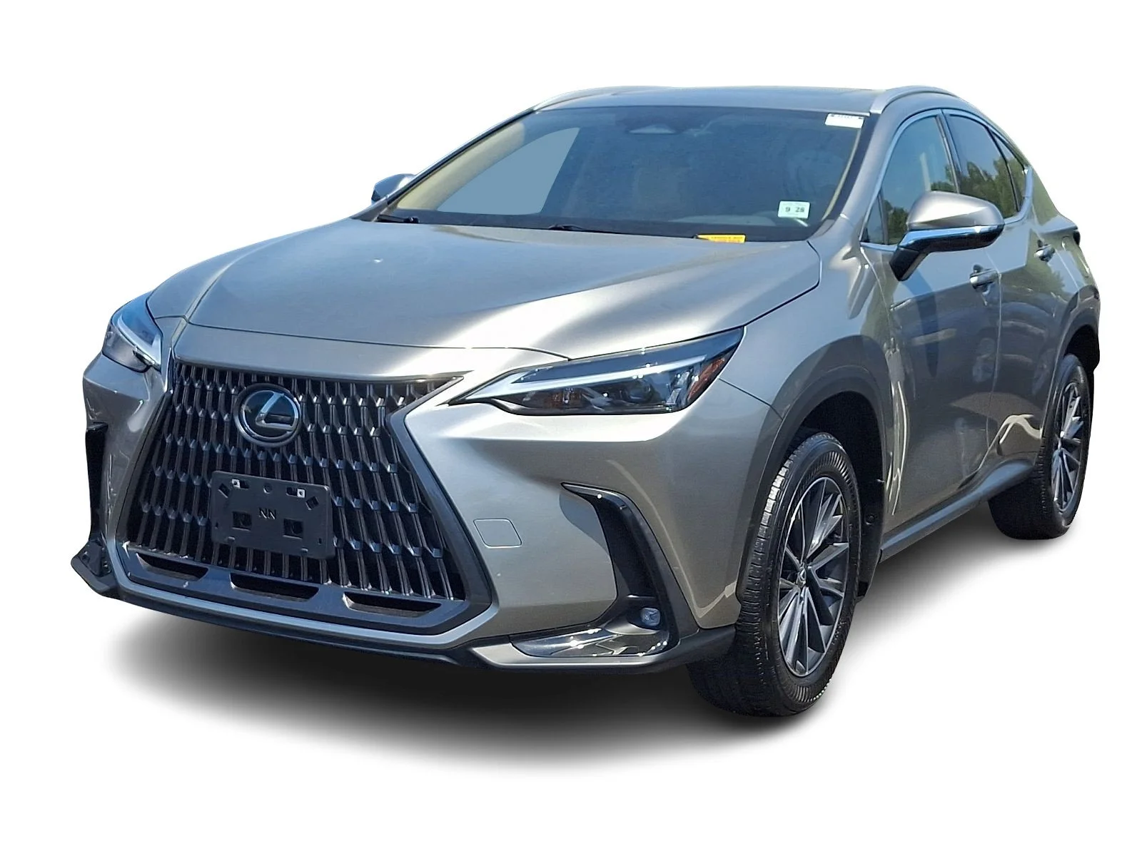 2024 Lexus NX 350 350 AWD's photo