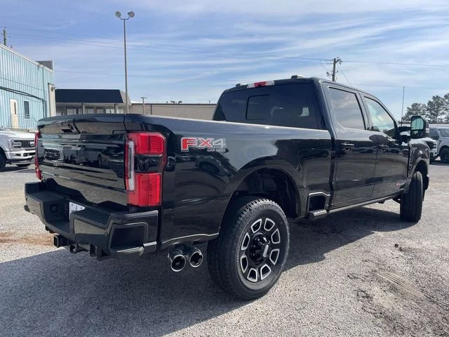 New 2026 Black Ford Platinum image 3