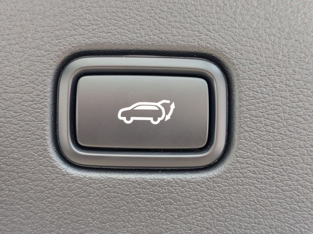 New 2025 Jungle Green Kia X-Line Prestige image 14