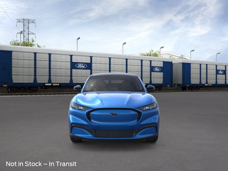 New 2026 Velocity Blue Metallic Ford Premium image 6