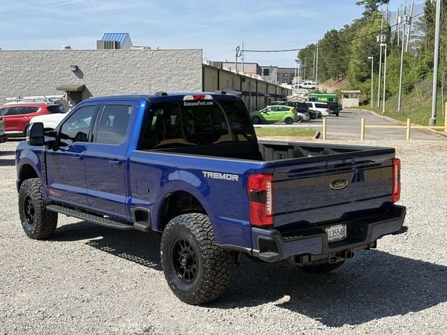 New 2026 Argon Blue Metallic Ford TCcustoms image 4
