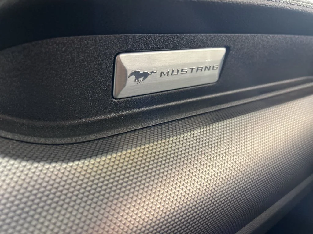 2019 Ford Mustang GT - Photo 45
