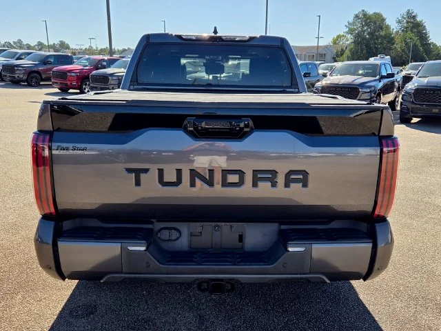 Used 2022 Gray Toyota Platinum image 11