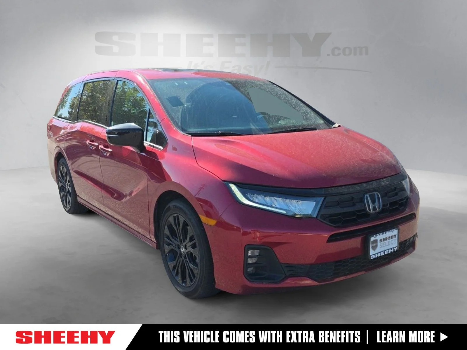 Used 2025  Honda Sport-L image 1
