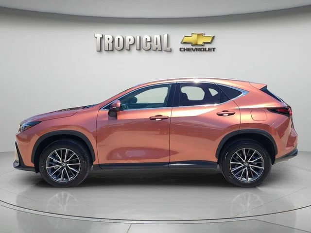 Used 2026 Orange Lexus NX 350 image 2