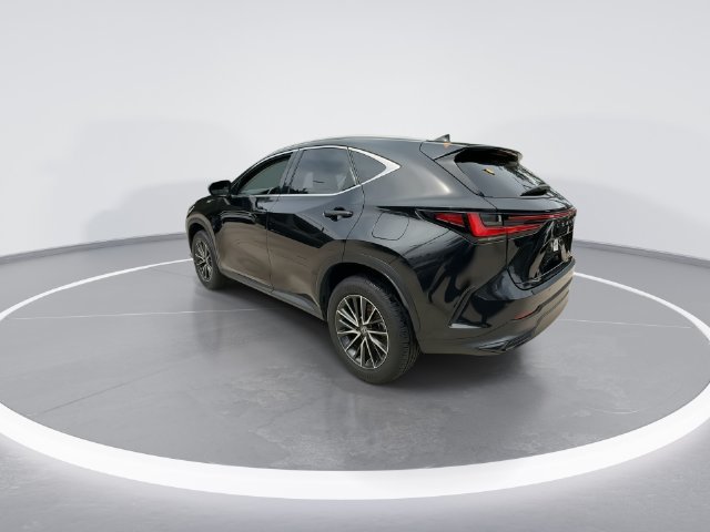 2024 Lexus NX 250 - Photo 6