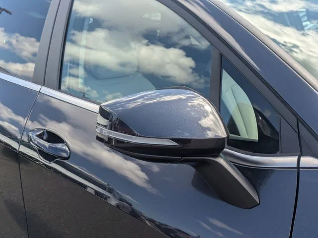 New 2026 Panthera Metal Kia EX image 10