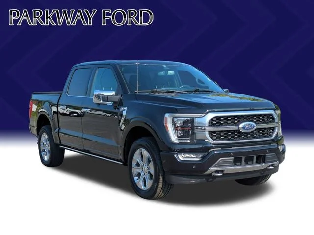 Used 2023 Black Ford Platinum image 7