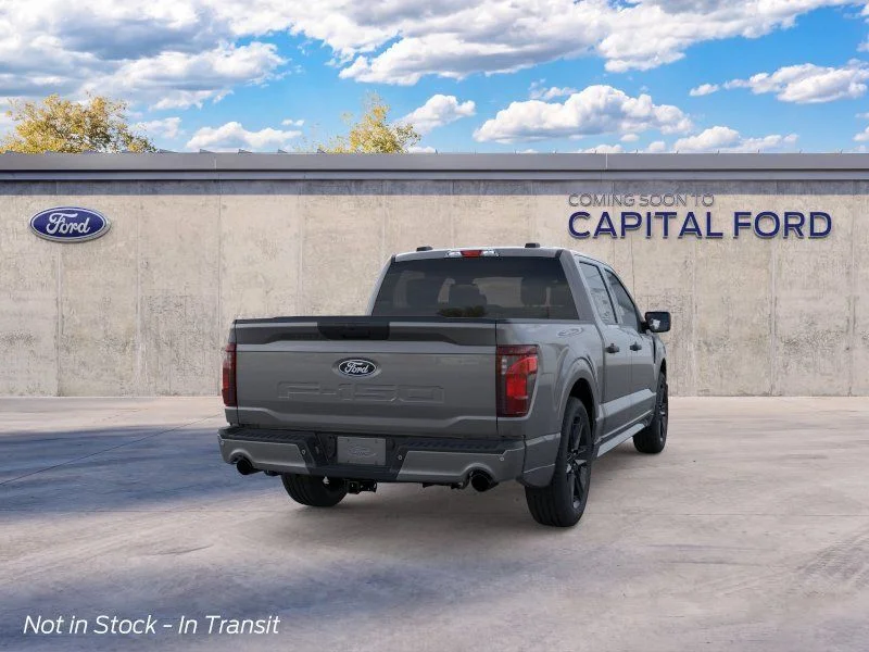 New 2026 Gray Ford STX image 9