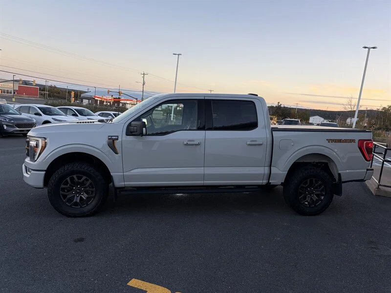 Used 2023 White Ford Tremor image 3