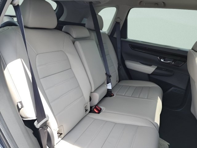 New 2026 Platinum White Pearl Honda EX-L image 18