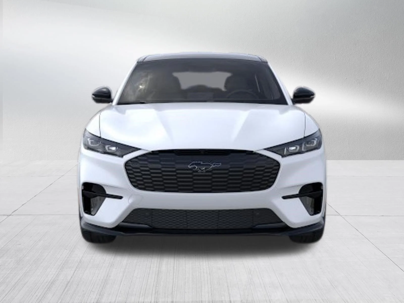 2025 Ford Mustang Mach-E GT - Photo 6