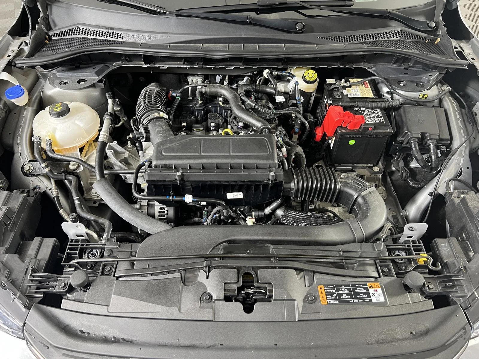Used 2023 Gy Ford Active image 32