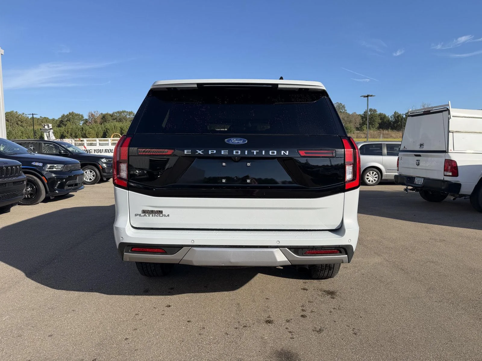 Used 2025 Space Silver Ford Platinum image 5