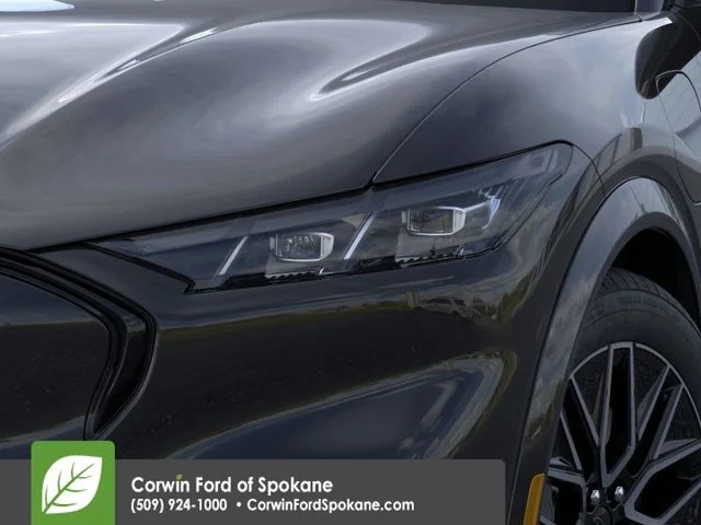 New 2026 Shadow Black Ford Premium image 18