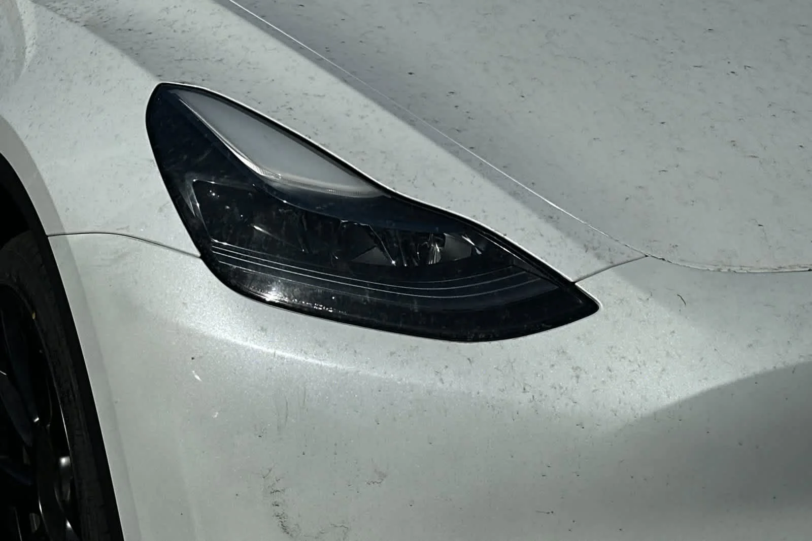 Used 2024  Tesla Long Range image 8
