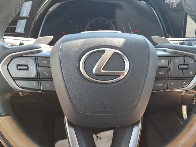 Used 2024 Orange Lexus Premium image 12