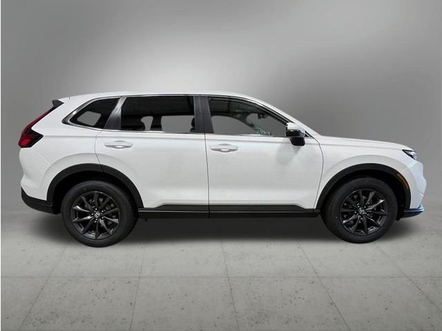 New 2026 Platinum White Pearl Honda EX-L image 7