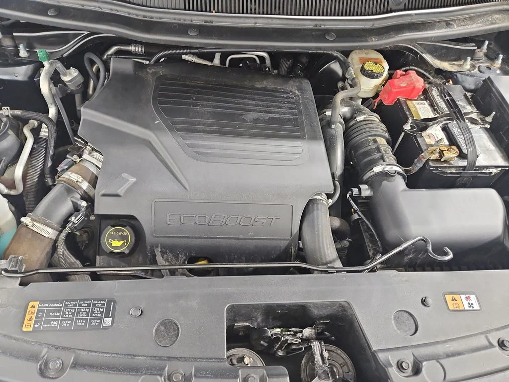 Used 2018 Blue Ford Sport image 22