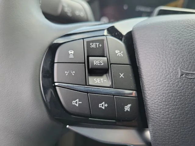 New 2026 Carbonized Gray Metallic Ford Platinum image 30