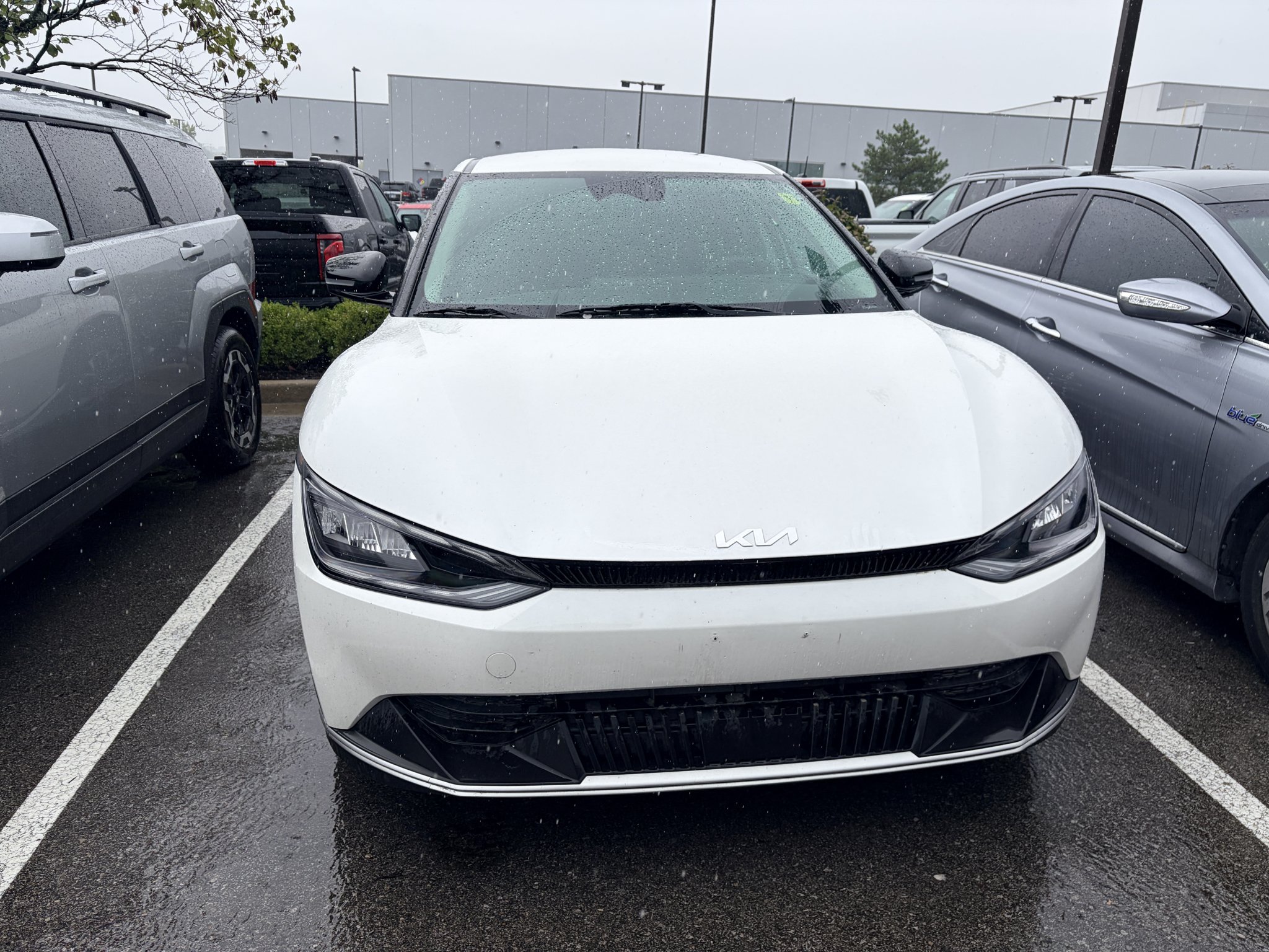 Used 2024 Snow White Pearl Kia Light Long Range image 8