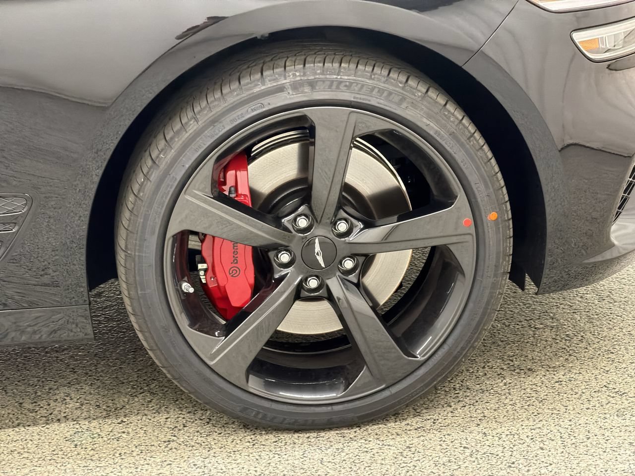 New 2027 Vik Black Genesis Standard image 10