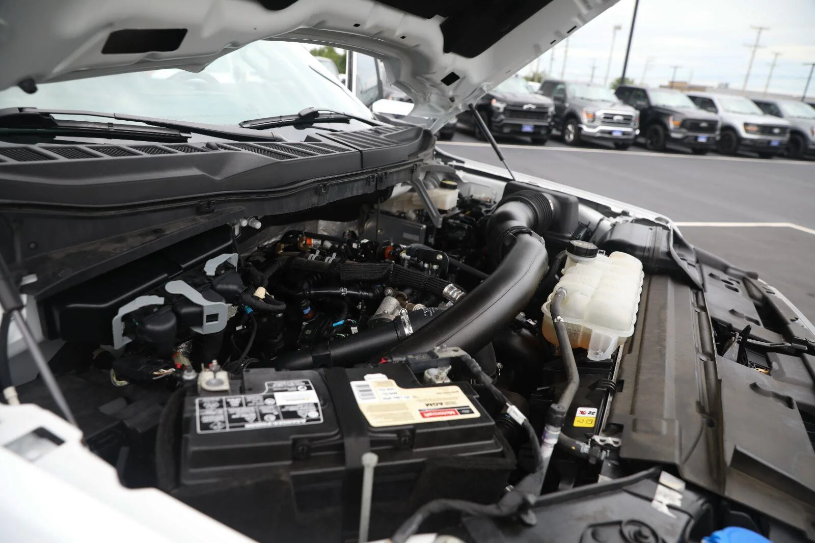 Certified Used 2024 Oxford White Ford XLT image 50