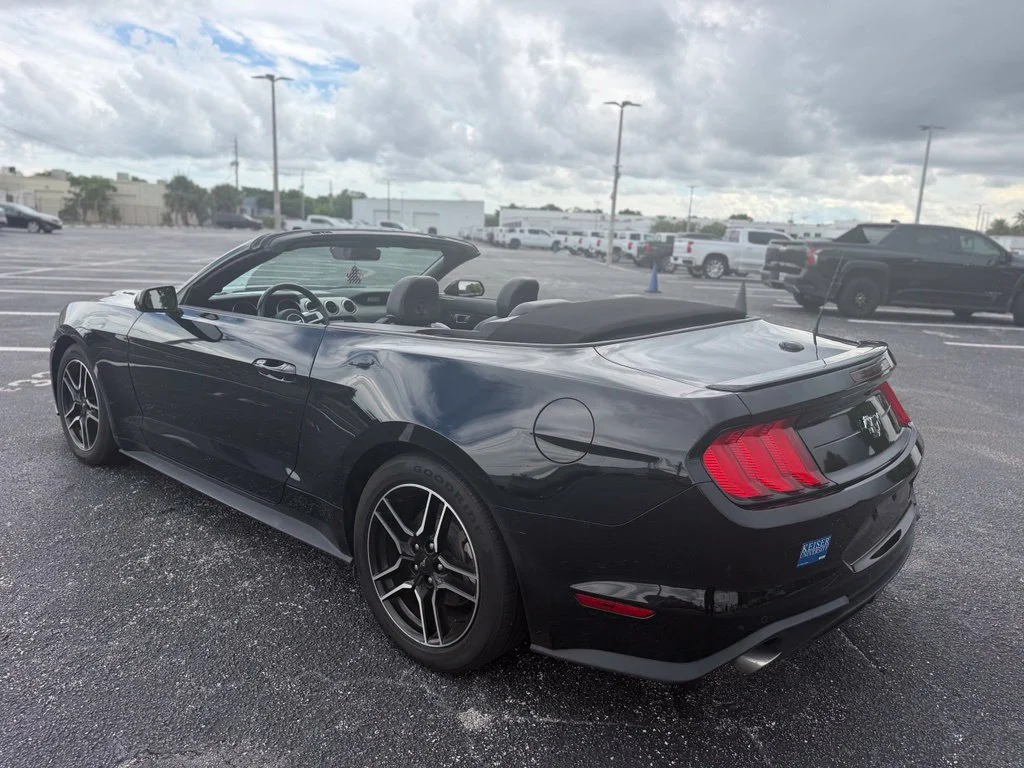 Used 2023 Black Ford EcoBoost Premium Convertible image 14