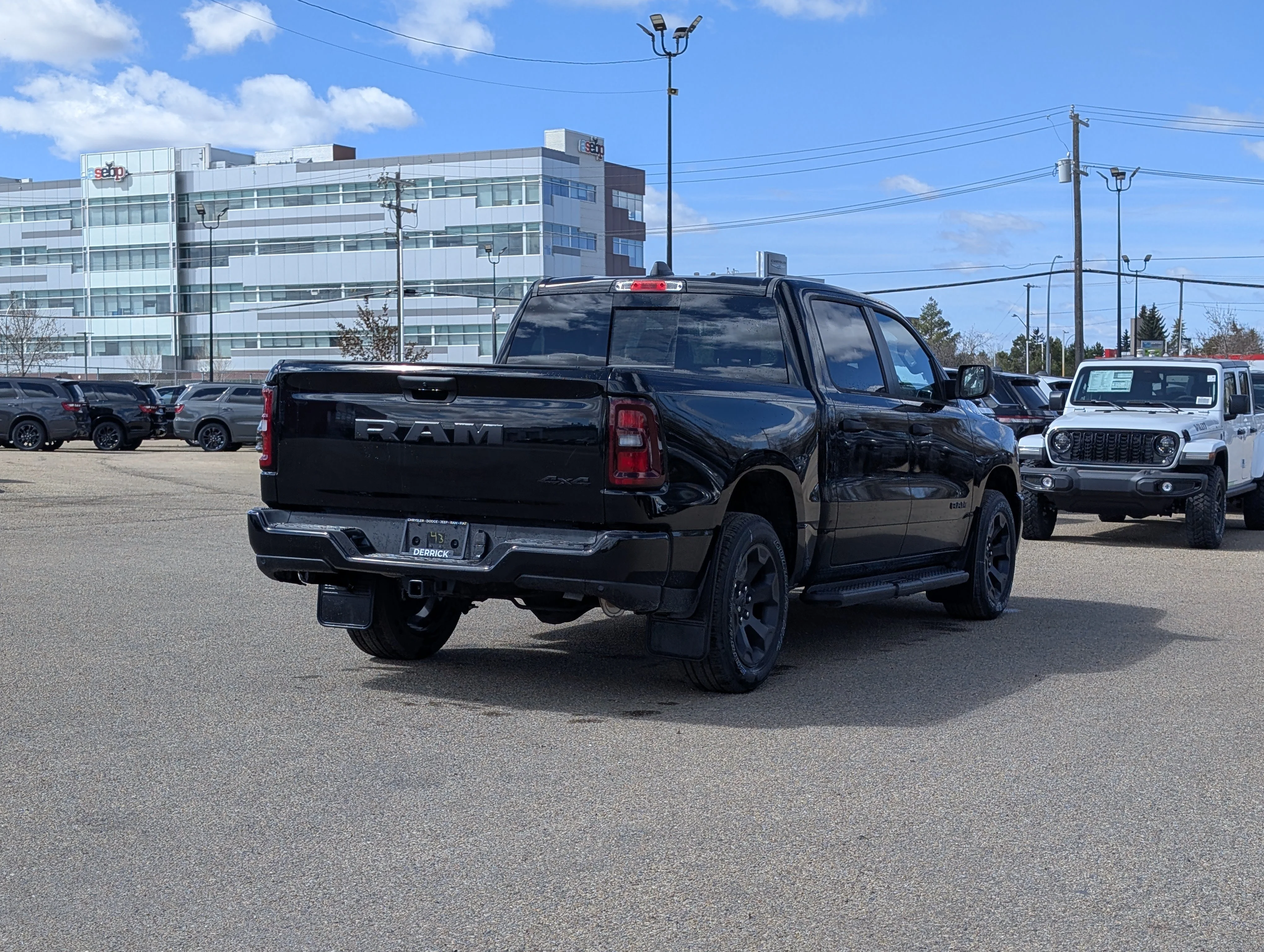New 2026 Diamond Black Crystal Pearl Ram Express image 7
