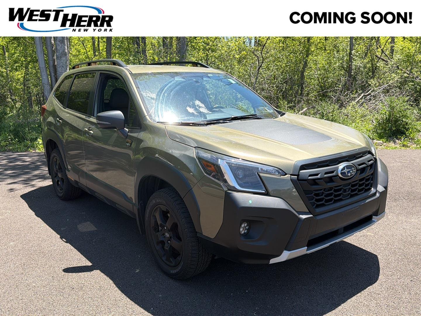 2024 Subaru Forester Wilderness's photo