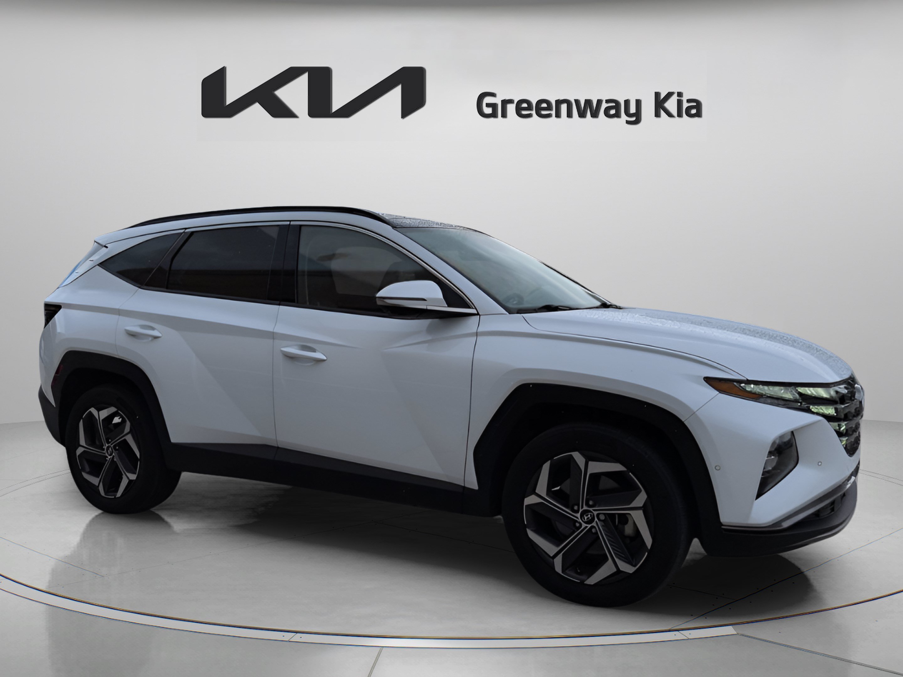 Used 2024 White Pearl Hyundai Limited image 1