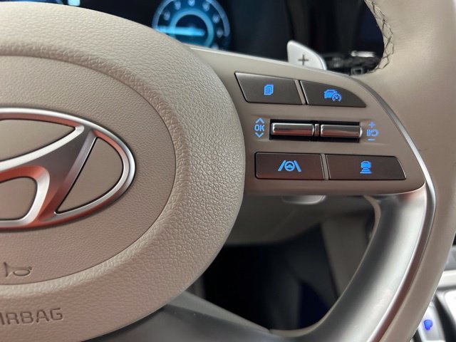 2025 Hyundai Palisade Limited - Photo 27