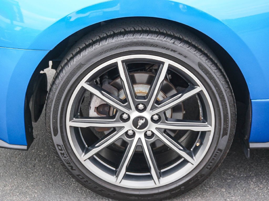 Used 2019 Blue Ford EcoBoost Premium image 8