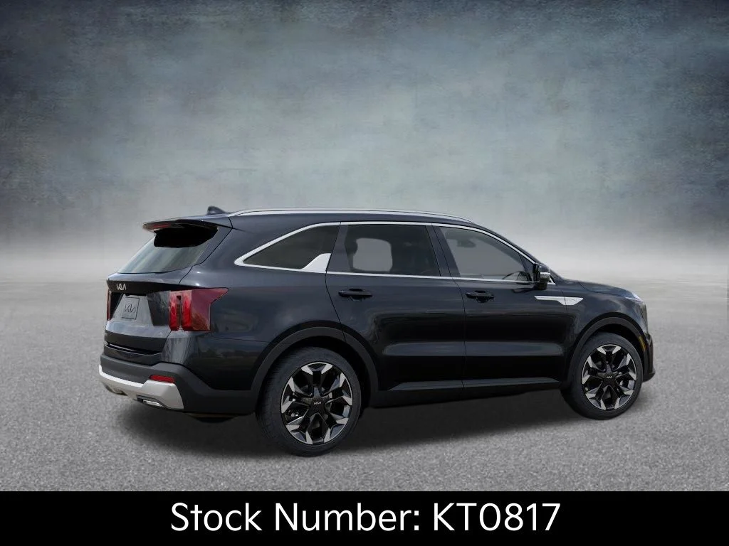 New 2026 Panthera Metal Kia EX image 6
