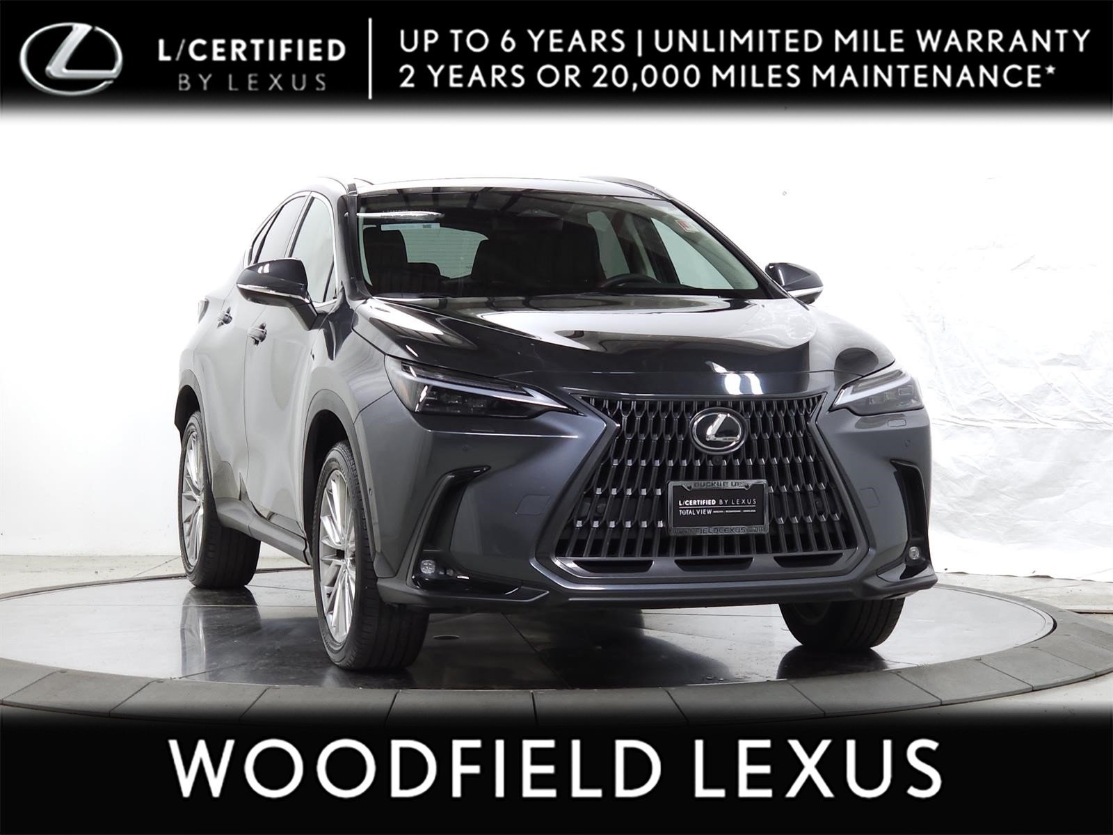 2025 Lexus NX 350h 350h Luxury AWD's photo