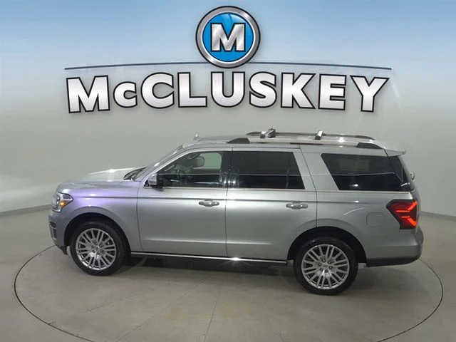 Used 2024 Silver Ford Limited image 10
