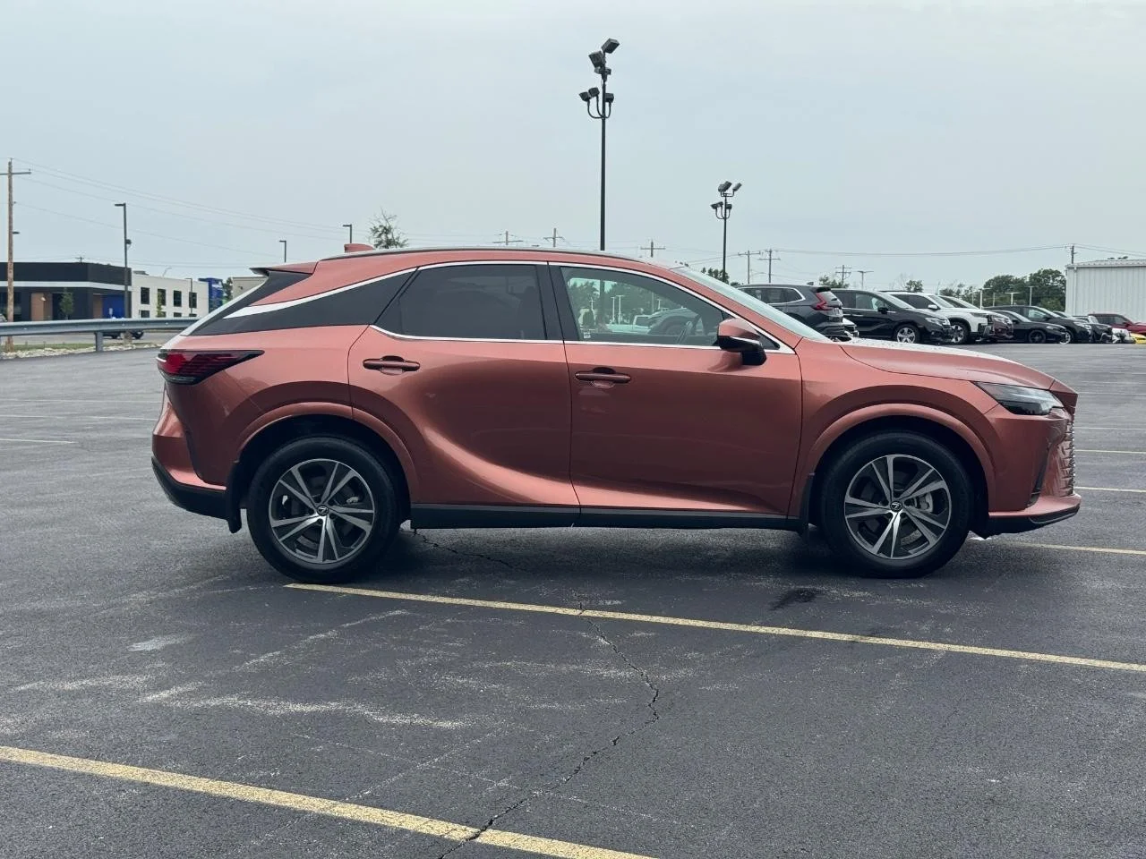 Used 2023 Copper Crest Lexus Premium image 3