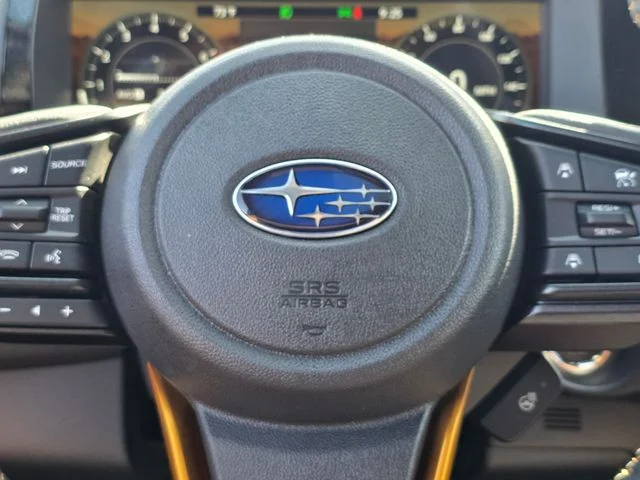 New 2026 RIVER ROCK PEARL Subaru Wilderness image 29