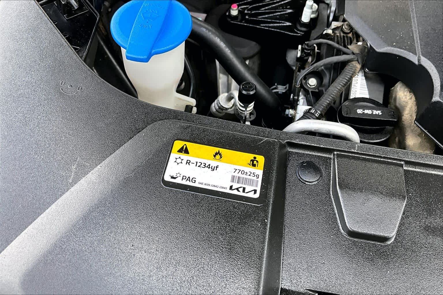 Used 2024 Panthera Metal Kia EX image 33