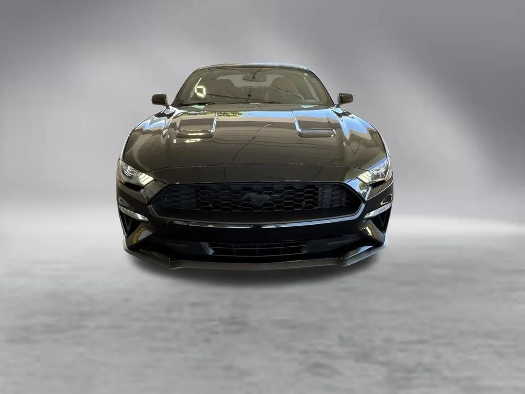 Used 2019 Shadow Black Ford EcoBoost Premium image 9