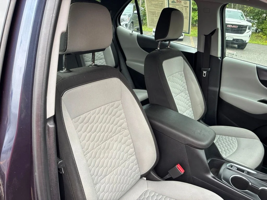 Used 2019 Blue Chevrolet LS image 39