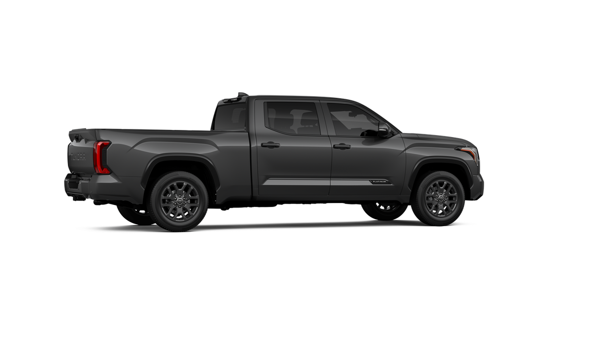 New 2026 Magnetic Gray Metallic Toyota Platinum image 33