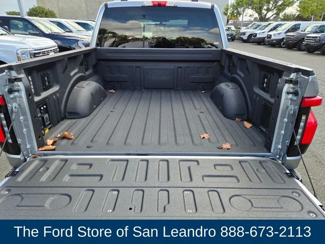 2025 Ford F-150 Lightning Flash - Photo 9