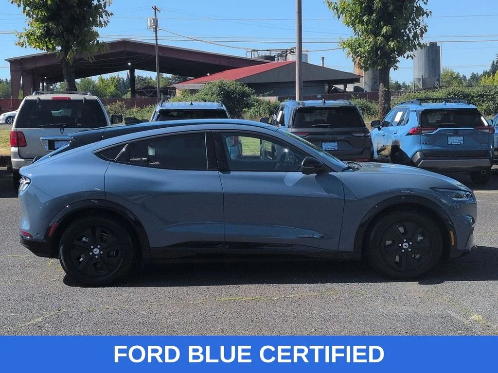 Used 2023 Vapor Blue Ford California Route 1 image 6