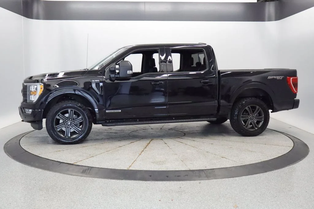 Certified 2021 Ford F-150 XLT with VIN 1FTFW1ED5MFA70297 for sale in Coon Rapids, Minnesota