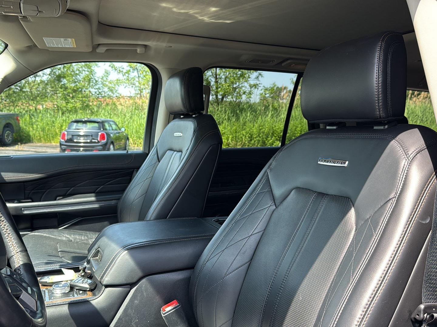 Used 2020 Magnetic Ford Platinum image 4