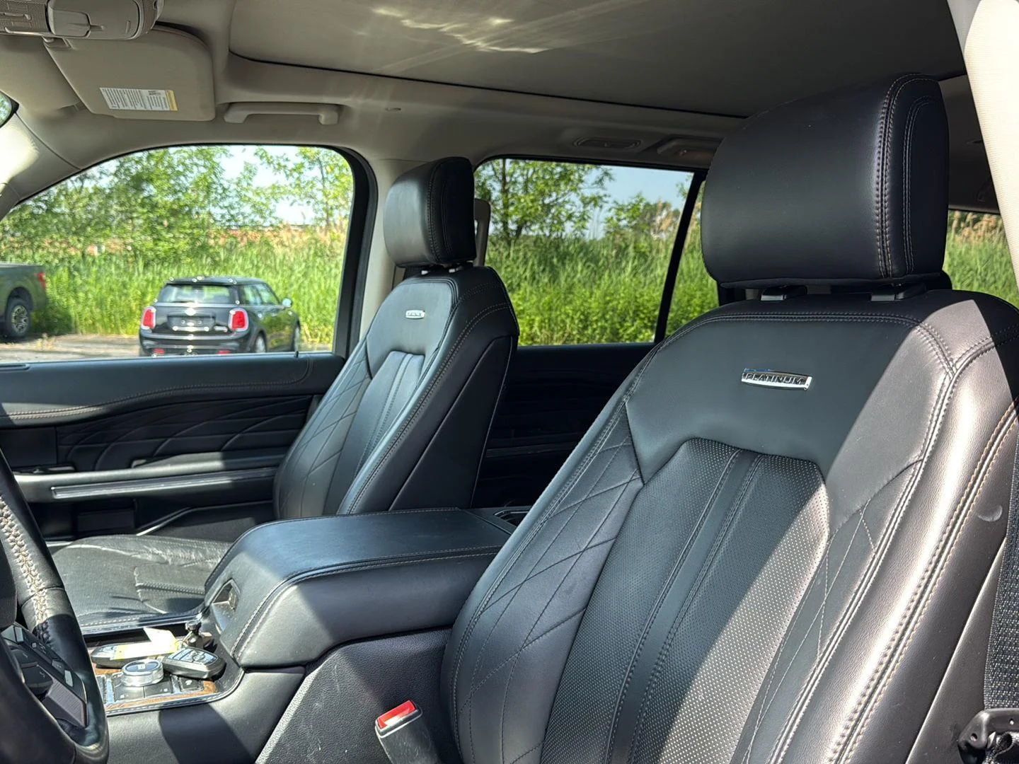 Used 2020 Magnetic Ford Platinum image 4