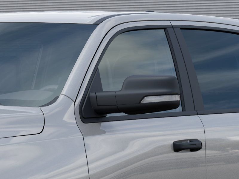 New 2026 Silver Zynith Exterior Paint RAM Rebel image 12