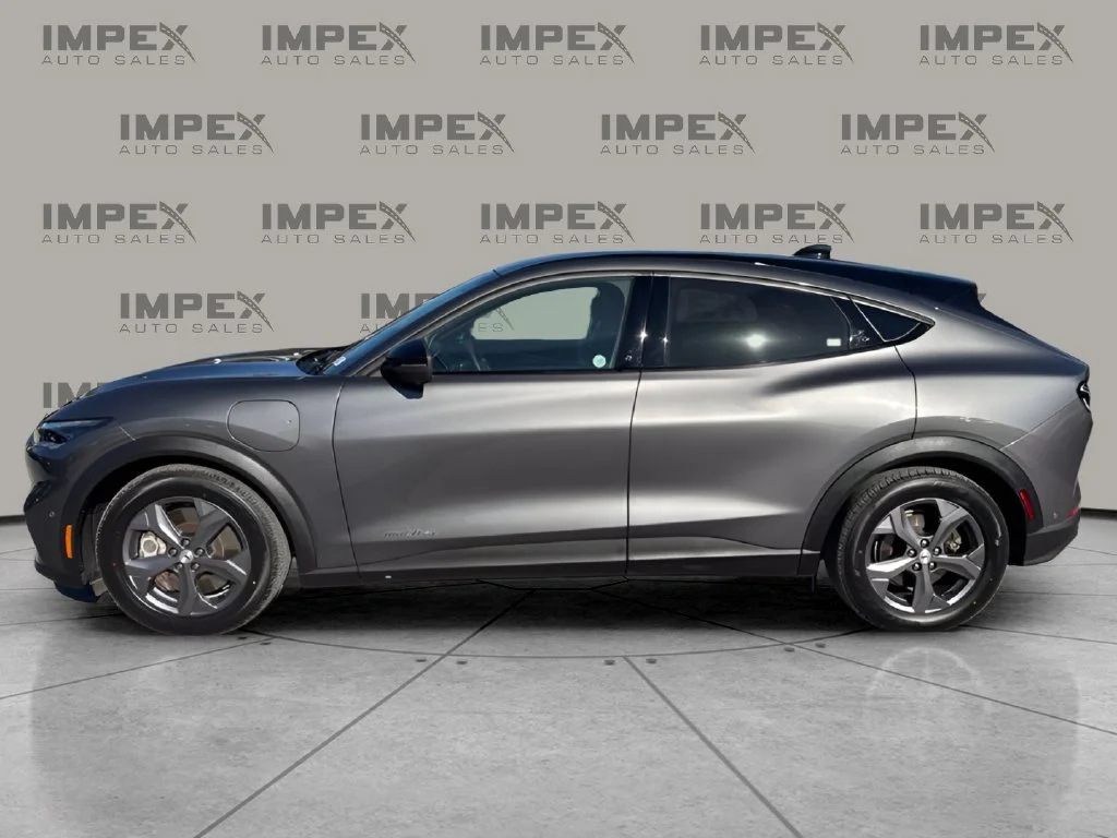 Used 2023 Gray Ford Select image 2