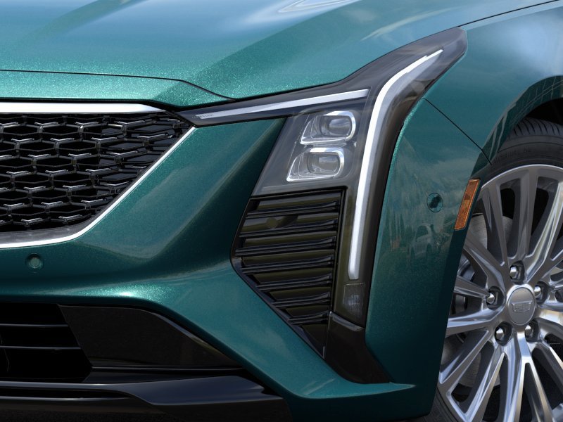 New 2026 Typhoon Metallic Cadillac Premium Luxury image 10